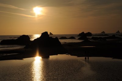 DSC_7516_resize.JPG