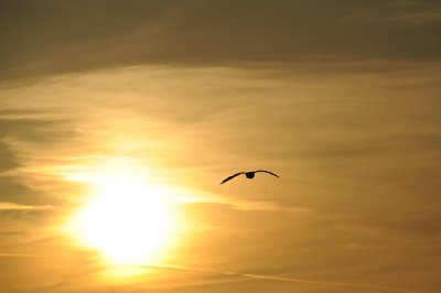 DSC_7533_resize.JPG