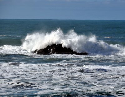 DSC_0020a_resize.jpg