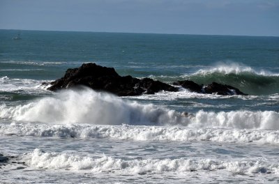 DSC_0030a_resize.jpg
