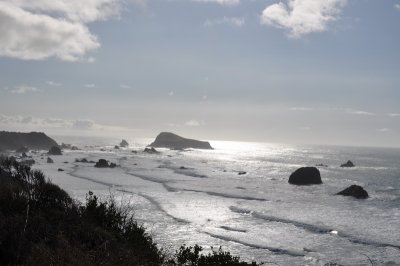 DSC_0033_resize.JPG