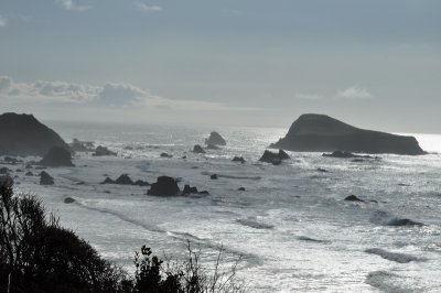 DSC_0035_resize.JPG