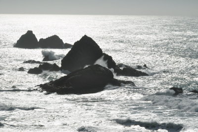 DSC_0038_resize.JPG