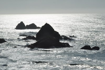 DSC_0043_resize.JPG