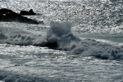 DSC_0048a_resize.jpg