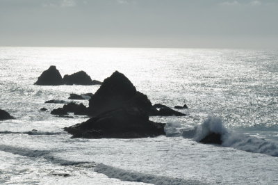 DSC_0050_resize.JPG