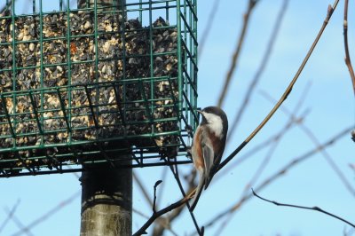 DSC_0138_resize.JPG