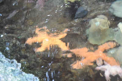 DSC_8040_resize.JPG