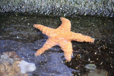 DSC_8045_resize.JPG
