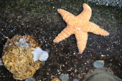 DSC_8050_resize.JPG