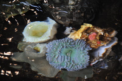 DSC_8053_resize.JPG