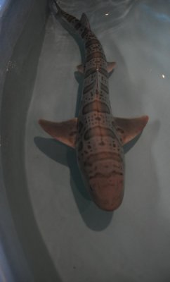 oceanworld