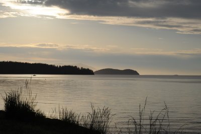 DSC_0663_resize.JPG