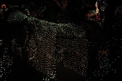 DSC_9804_resize.JPG