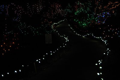 DSC_9878_resize.JPG