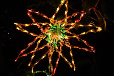 christmaslights09