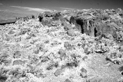 DSC_4177_resize.jpg