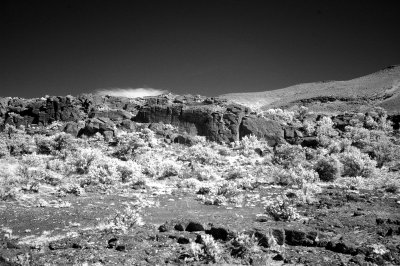 DSC_4197_resize.jpg