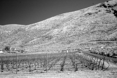 DSC_4231_resize.jpg