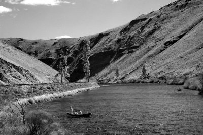 DSC_4240_resize.jpg
