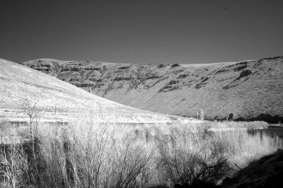 DSC_4250_resize.jpg