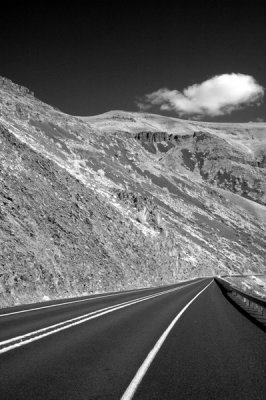 DSC_4292_resize.jpg