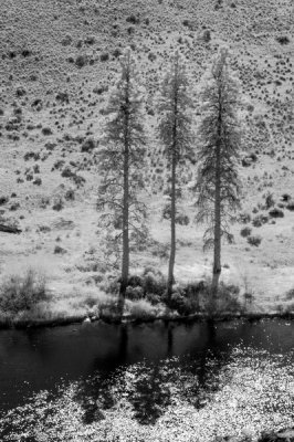 DSC_4317_resize.jpg