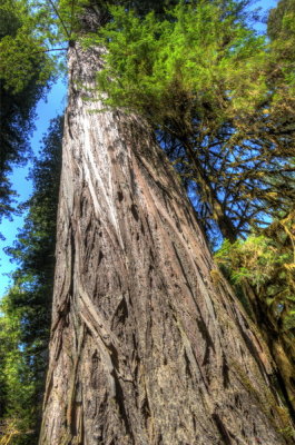 DSC_0704_6_7_8_9_tonemapped_resize.jpg