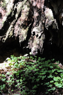 DSC_0657_resize.JPG