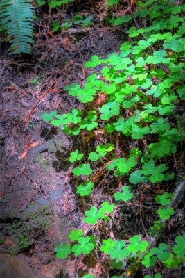 DSC_0662_3_4_5_6_tonemapped_resize.jpg
