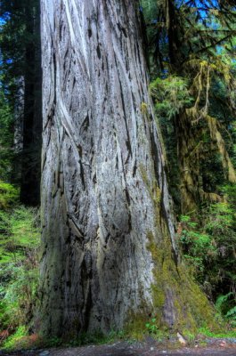 DSC_0669_70_71_72_73_tonemapped_resize.jpg