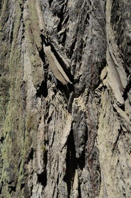 DSC_0700_resize.JPG