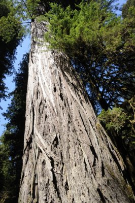 DSC_0707.JPG_resize.jpg