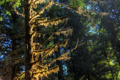 DSC_0715_6_4_3_2_tonemapped_resize.jpg