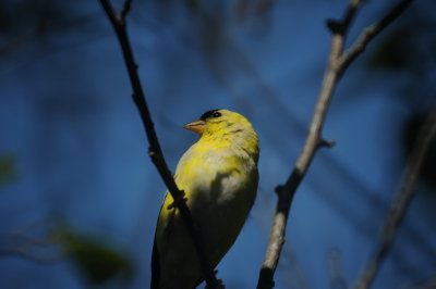 DSC_0787_resize.JPG
