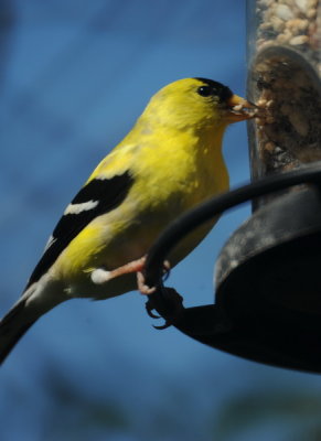 DSC_0792a_resize.jpg