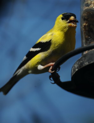 DSC_0798a_resize.jpg