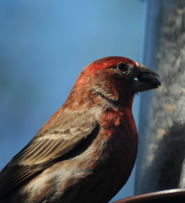 DSC_0840a_resize.jpg