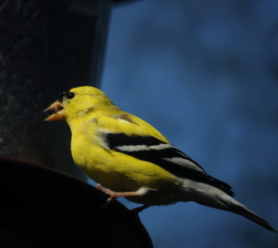 DSC_0858a_resize.jpg