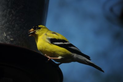 DSC_0862_resize.JPG