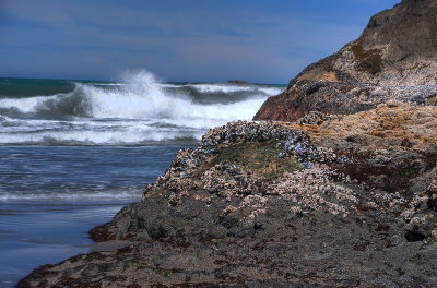 DSC_1362_61_60_59_58_tonemappedab_resize.jpg