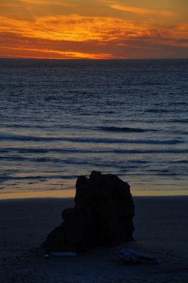 DSC_2198a_resize.jpg