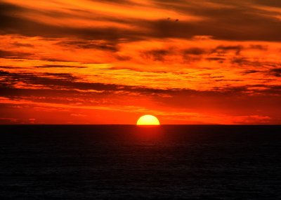 DSC_2139acd_resize.jpg