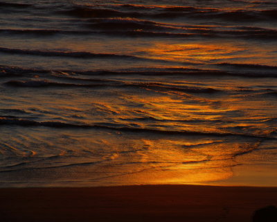 DSC_2053_resize.jpg