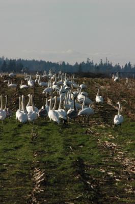 DSC_0482_resize.JPG