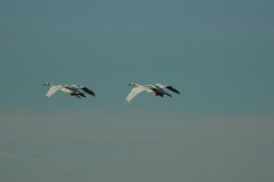 DSC_0486_resize.JPG
