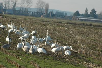 DSC_0495_resize.JPG