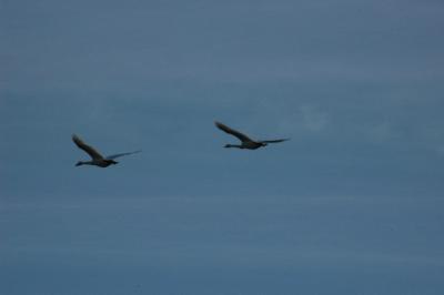 DSC_0506_resize.JPG
