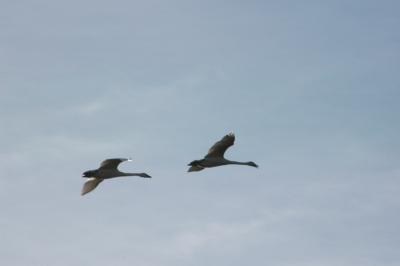 DSC_0517_resize.JPG