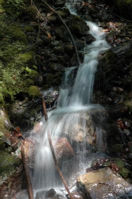DSC_0011.JPG